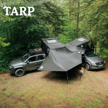 Tarp