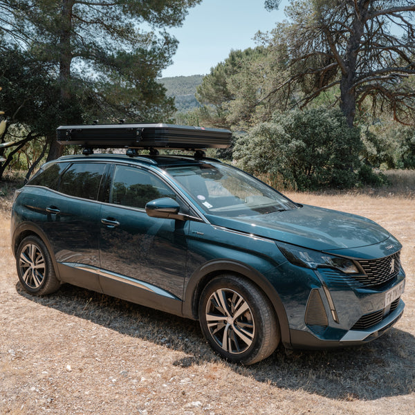 Voyage M